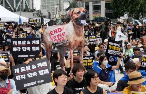 दक्षिण कोरियाली संसदद्वारा कुकुरको मासु व्यापारमा प्रतिबन्ध लगाउने विधेयक पारित